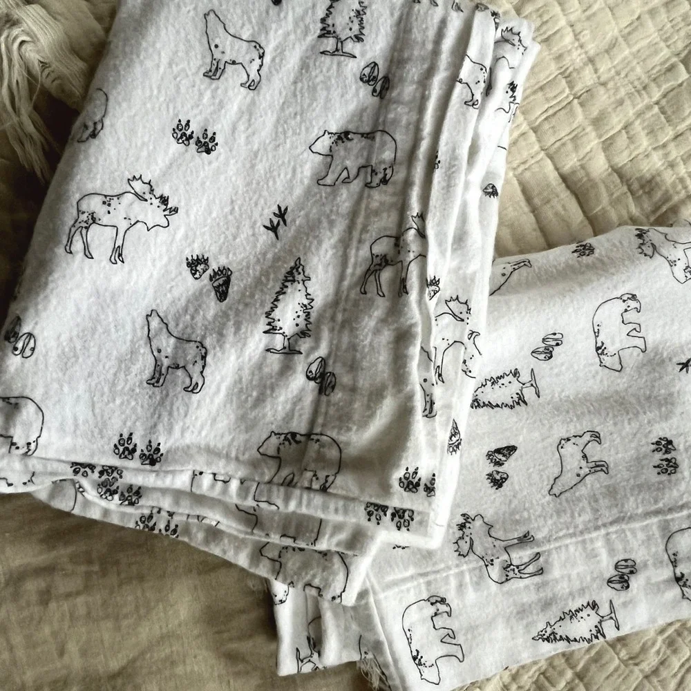 Eddie Bauer Cotton Flannel Pillowcases